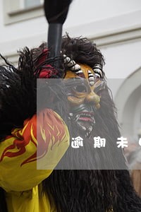 逾期未申报记录证明查询 逾期未申报记录证明查询