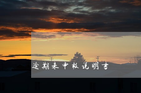 逾期未申报说明书 逾期未申报说明书