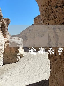 逾期未申报请款说明 逾期未申报请款说明