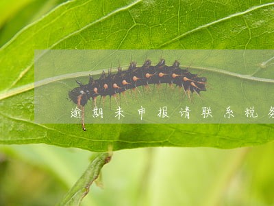 逾期未申报请联系税务主管 逾期未申报请联系税务主管