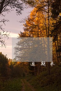 逾期未申报财务风险 逾期未申报财务风险