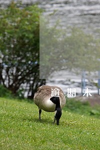 逾期未申报责令限改 逾期未申报责令限改