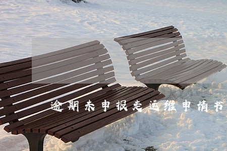 逾期未申报走运维申请书怎么写 逾期未申报走运维申请书怎么写