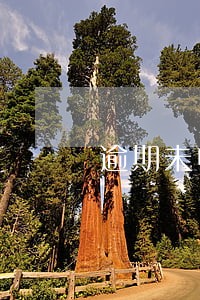 逾期未申报超过5年是否要处罚 逾期未申报超过5年是否要处罚