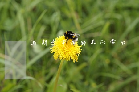 逾期未申报转非正常后 逾期未申报转非正常后