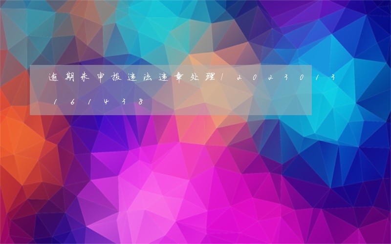 逾期未申报违法违章处理/2023013161438 逾期未申报违法违章处理/2023013161438