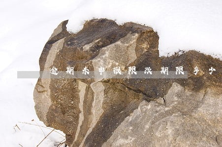逾期未申报限改期限多少天 逾期未申报限改期限多少天