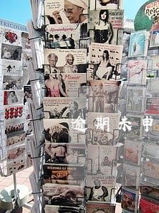 逾期未申报需要准备什么材料 逾期未申报需要准备什么材料