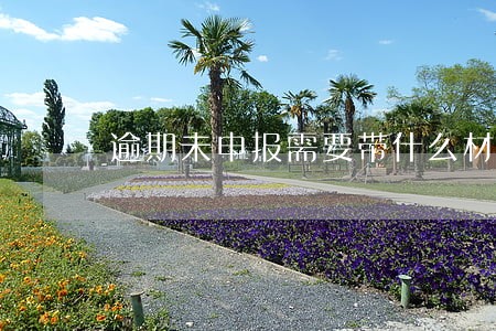 逾期未申报需要带什么材料 逾期未申报需要带什么材料