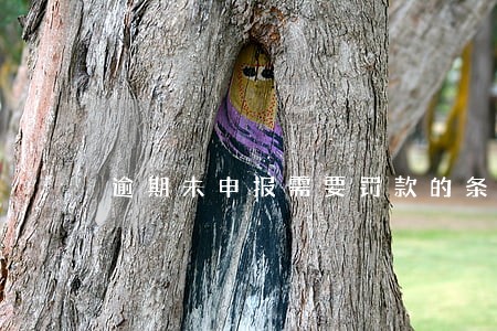 逾期未申报需要罚款的条文 逾期未申报需要罚款的条文