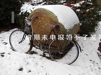 逾期未申报领不了发票 逾期未申报领不了发票