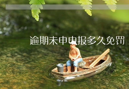 逾期未申申报多久免罚