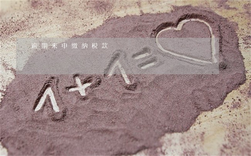 逾期未申缴纳税款