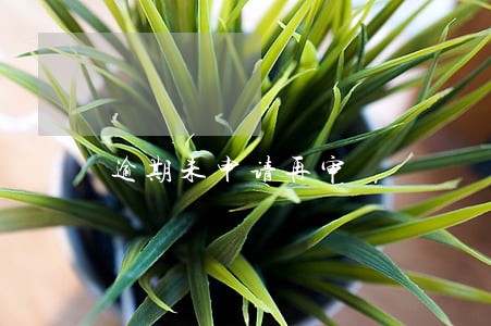 逾期未申请再审 逾期未申请再审