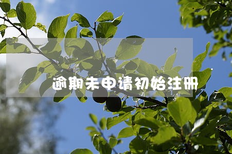 逾期未申请初始注册 逾期未申请初始注册