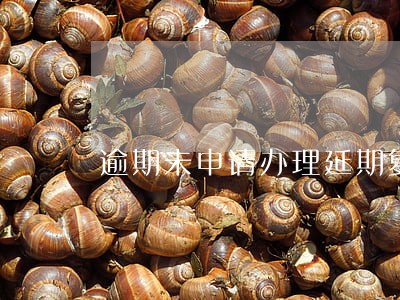 逾期未申请办理延期复核手续 逾期未申请办理延期复核手续