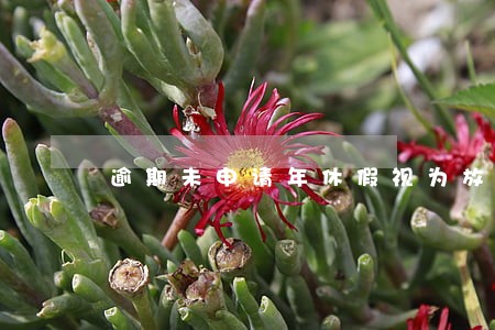 逾期未申请年休假视为放弃 逾期未申请年休假视为放弃