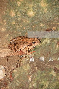逾期未申请年假自动作废 逾期未申请年假自动作废