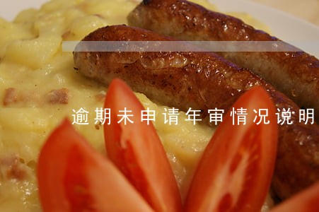逾期未申请年审情况说明 逾期未申请年审情况说明