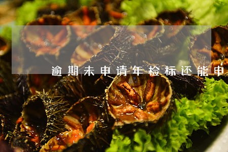逾期未申请年检标还能申领吗 逾期未申请年检标还能申领吗