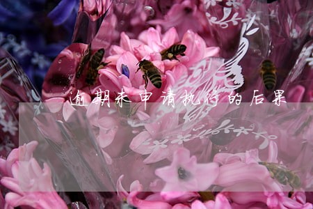 逾期未申请执行的后果 逾期未申请执行的后果