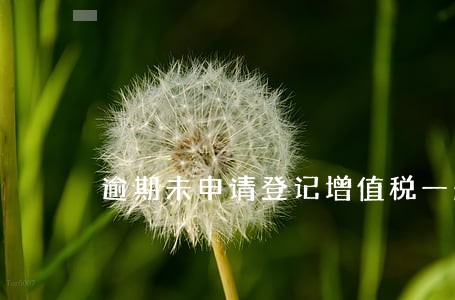 逾期未申请登记增值税一般纳税人 逾期未申请登记增值税一般纳税人