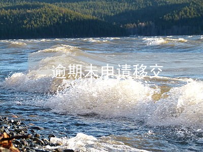 逾期未申请移交