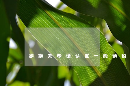 逾期未申请认定一般纳税人 逾期未申请认定一般纳税人
