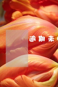 逾期未申请返还专项基金的期限 逾期未申请返还专项基金的期限