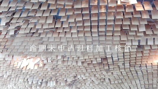 逾期未申请进料加工核销 逾期未申请进料加工核销