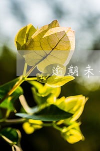 逾期未登记处罚金额 逾期未登记处罚金额