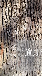 逾期未登记税务 逾期未登记税务