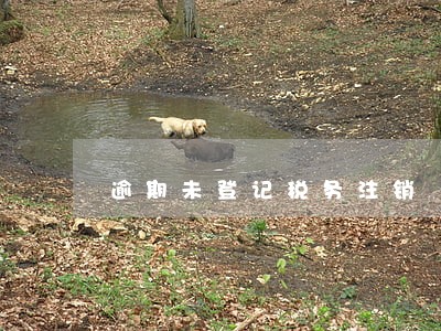 逾期未登记税务注销 逾期未登记税务注销