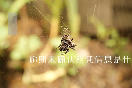 逾期未确认租凭信息是什么意思 逾期未确认租凭信息是什么意思