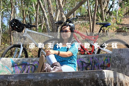 逾期未神车罚款多少钱 逾期未神车罚款多少钱
