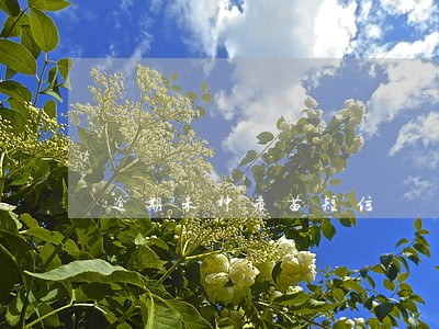 逾期未种疫苗短信 逾期未种疫苗短信