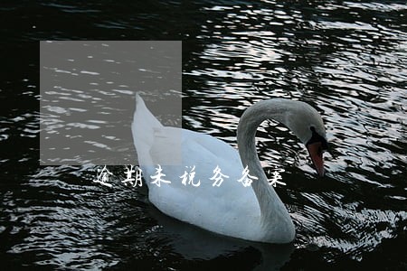 逾期未税务备案 逾期未税务备案