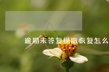 逾期未答复视撤恢复怎么办 逾期未答复视撤恢复怎么办