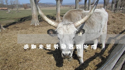 逾期未签劳动合同补偿 逾期未签劳动合同补偿