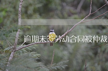 逾期未签劳动合同被仲裁 逾期未签劳动合同被仲裁