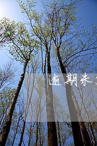 逾期未签合同如何补偿 逾期未签合同如何补偿