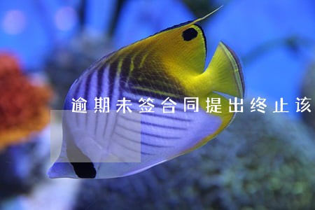 逾期未签合同提出终止该怎么办 逾期未签合同提出终止该怎么办