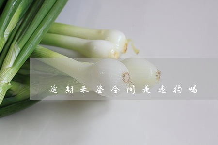 逾期未签合同是违约吗 逾期未签合同是违约吗