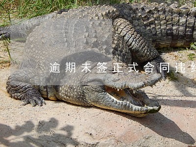逾期未签正式合同违约金 逾期未签正式合同违约金