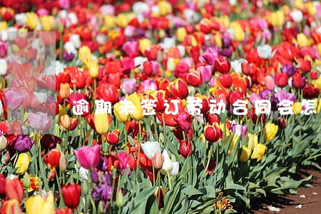 逾期未签订劳动合同会怎样 逾期未签订劳动合同会怎样