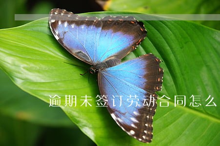 逾期未签订劳动合同怎么办 逾期未签订劳动合同怎么办