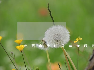 逾期未签订劳动合同的后果 逾期未签订劳动合同的后果