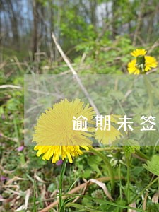 逾期未签采购合同原因 逾期未签采购合同原因
