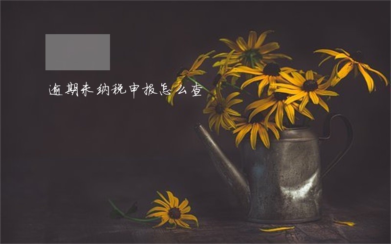 逾期未纳税申报怎么查 逾期未纳税申报怎么查