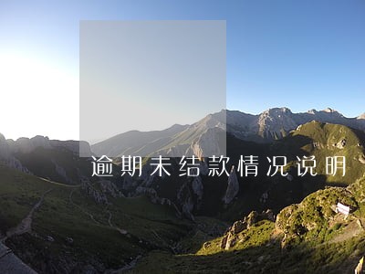 逾期未结款情况说明 逾期未结款情况说明